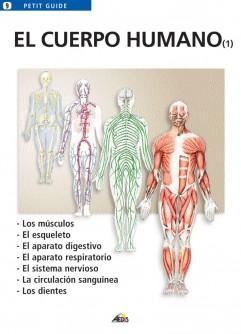 Descifrando⁣ el Lenguaje de​ tu Cuerpo: Claves para una Interacción Excepcional